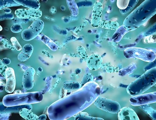postbiotics 